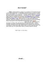 Konspekts 'Kalcijs', 1.