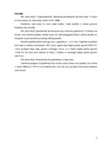 Referāts 'Stratēģiskais plāns SIA "Mana māja"', 15.