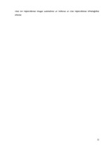 Referāts 'Stratēģiskais plāns SIA "Mana māja"', 24.