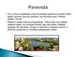 Prezentācija 'Lietuva', 11.