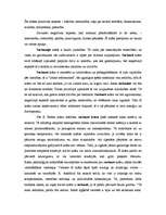 Konspekts 'Sarkanā krāsa', 2.