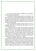 Referāts 'Saimnieciskās darbības apraksts. Alus darītava a/s "Aldaris"', 13.