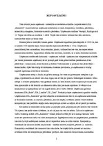 Biznesa plāns 'SIA "Kamenīte" biznesa plāns', 2.