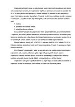 Biznesa plāns 'SIA "Kamenīte" biznesa plāns', 3.