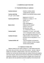 Biznesa plāns 'SIA "Kamenīte" biznesa plāns', 4.