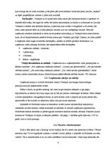 Biznesa plāns 'SIA "Kamenīte" biznesa plāns', 6.