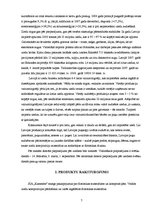 Biznesa plāns 'SIA "Kamenīte" biznesa plāns', 7.