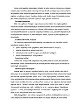 Biznesa plāns 'SIA "Kamenīte" biznesa plāns', 8.