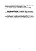 Biznesa plāns 'SIA "Kamenīte" biznesa plāns', 9.