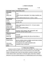 Biznesa plāns 'SIA "Kamenīte" biznesa plāns', 10.