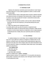 Biznesa plāns 'SIA "Kamenīte" biznesa plāns', 15.