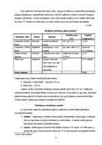 Biznesa plāns 'SIA "Kamenīte" biznesa plāns', 18.