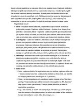 Biznesa plāns 'SIA "Kamenīte" biznesa plāns', 21.