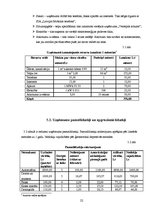 Biznesa plāns 'SIA "Kamenīte" biznesa plāns', 22.