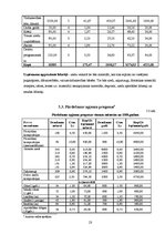 Biznesa plāns 'SIA "Kamenīte" biznesa plāns', 23.