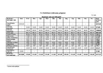 Biznesa plāns 'SIA "Kamenīte" biznesa plāns', 25.