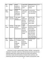 Biznesa plāns 'SIA "Kamenīte" biznesa plāns', 27.