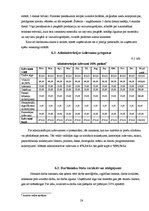 Biznesa plāns 'SIA "Kamenīte" biznesa plāns', 28.