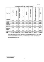 Biznesa plāns 'SIA "Kamenīte" biznesa plāns', 29.