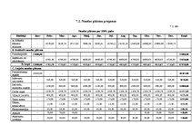 Biznesa plāns 'SIA "Kamenīte" biznesa plāns', 31.