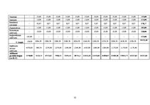 Biznesa plāns 'SIA "Kamenīte" biznesa plāns', 32.