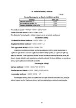 Biznesa plāns 'SIA "Kamenīte" biznesa plāns', 34.