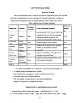 Biznesa plāns 'SIA "Kamenīte" biznesa plāns', 35.