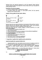 Konspekts 'Uzņēmuma kapitāls, tā struktūra. Kapitāla vajadzības noteikšana', 19.