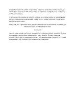 Referāts 'Pirmais pasaules karš Eiropā', 7.