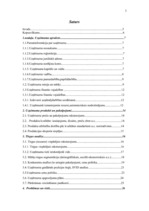 Biznesa plāns 'SIA "Alise"', 3.