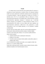 Biznesa plāns 'SIA "Alise"', 5.