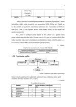 Biznesa plāns 'SIA "Alise"', 8.