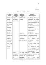 Biznesa plāns 'SIA "Alise"', 10.