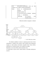 Biznesa plāns 'SIA "Alise"', 11.