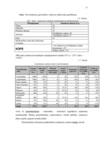 Biznesa plāns 'SIA "Alise"', 13.