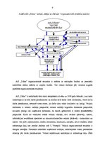 Prakses atskaite 'Prakse komercdarbības organizācijā AS "Diāna"', 9.