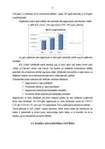 Prakses atskaite 'Prakse komercdarbības organizācijā AS "Diāna"', 11.