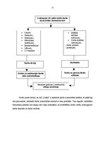 Prakses atskaite 'Prakse komercdarbības organizācijā AS "Diāna"', 13.
