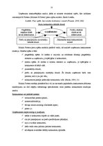 Prakses atskaite 'Prakse komercdarbības organizācijā AS "Diāna"', 18.