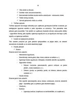 Prakses atskaite 'Prakse komercdarbības organizācijā AS "Diāna"', 60.