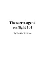 Konspekts 'Franklin W.Dixon "The Secret Agent on Flight 101"', 1.