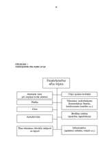 Referāts 'Nekustamā īpašuma vērtēšana', 62.