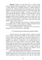 Referāts 'Lauku tūrisma produkta sasniedzamība Kurzemes novadā', 24.