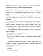 Referāts 'Komerctiesību reforma un bezpeļņas organizācija', 15.