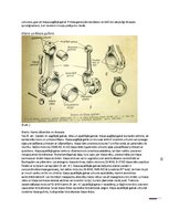 Referāts 'Kloķa - klaņa mehānisms, vītņu veidi', 7.