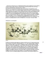 Referāts 'Kloķa - klaņa mehānisms, vītņu veidi', 8.