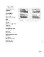 Referāts 'Kloķa - klaņa mehānisms, vītņu veidi', 14.