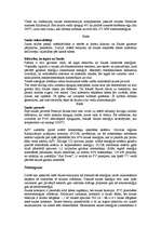 Referāts 'Saules enerģijas izmantošanas iespējas', 19.