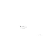 Konspekts 'Protekcionisms', 1.