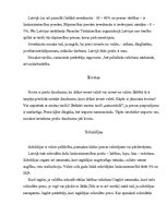 Konspekts 'Protekcionisms', 3.